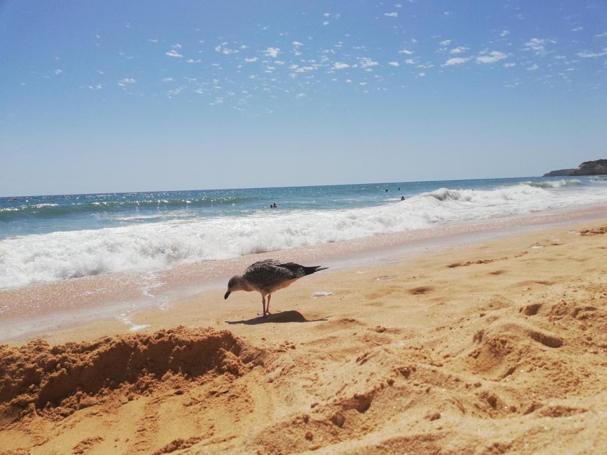 Apartamento Do Algarve Armação de Pêra Zewnętrze zdjęcie
