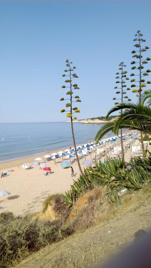 Apartamento Do Algarve Armação de Pêra Zewnętrze zdjęcie